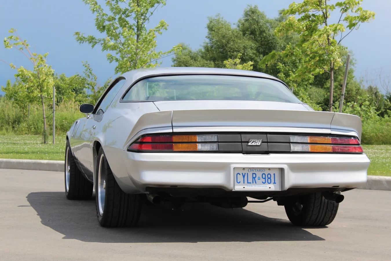 Chevrolet-Camaro-1981-Silver-Black-1