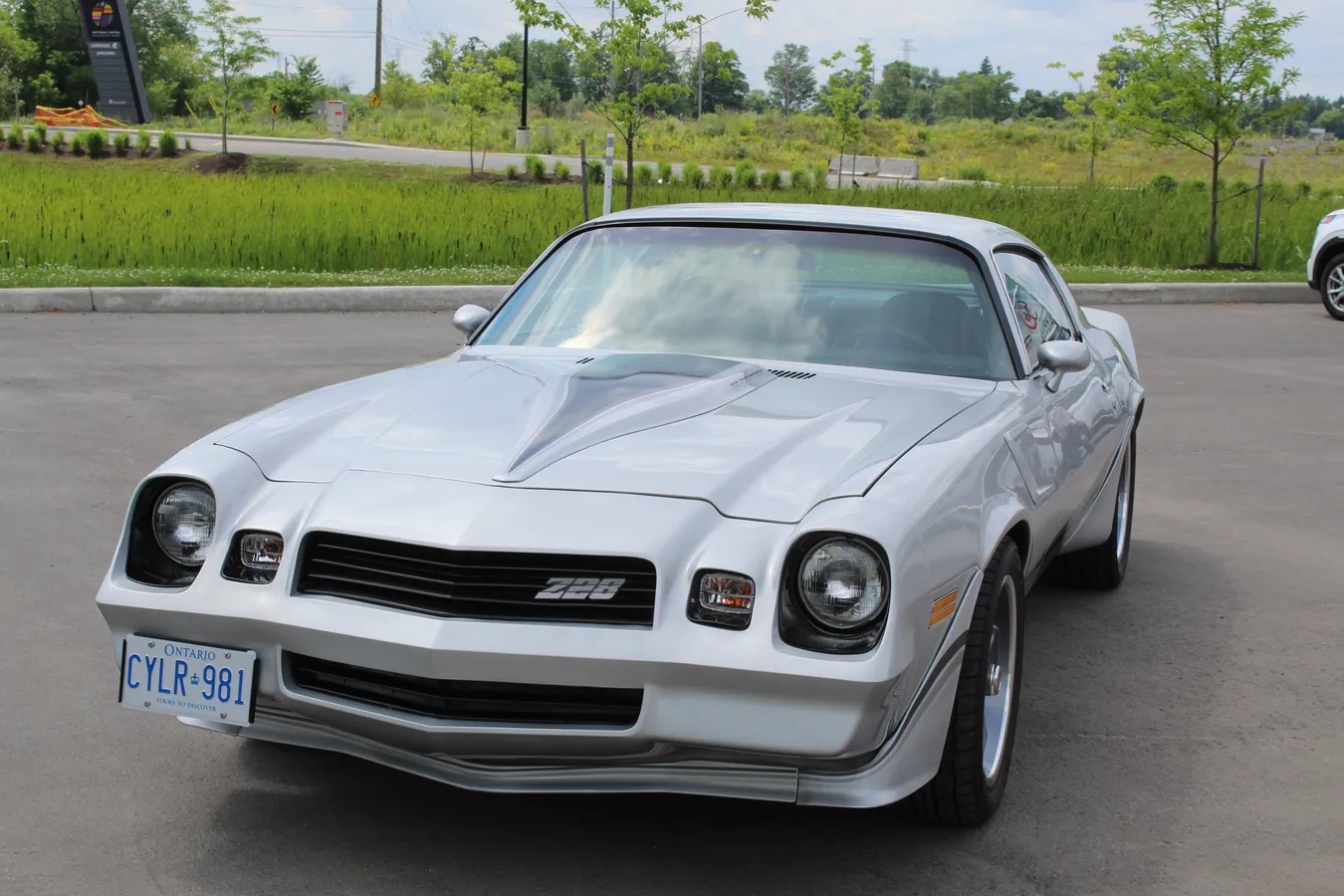 Chevrolet-Camaro-1981-Silver-Black-10