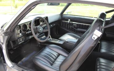 Chevrolet-Camaro-1981-Silver-Black-11