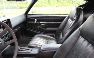 Chevrolet-Camaro-1981-Silver-Black-12