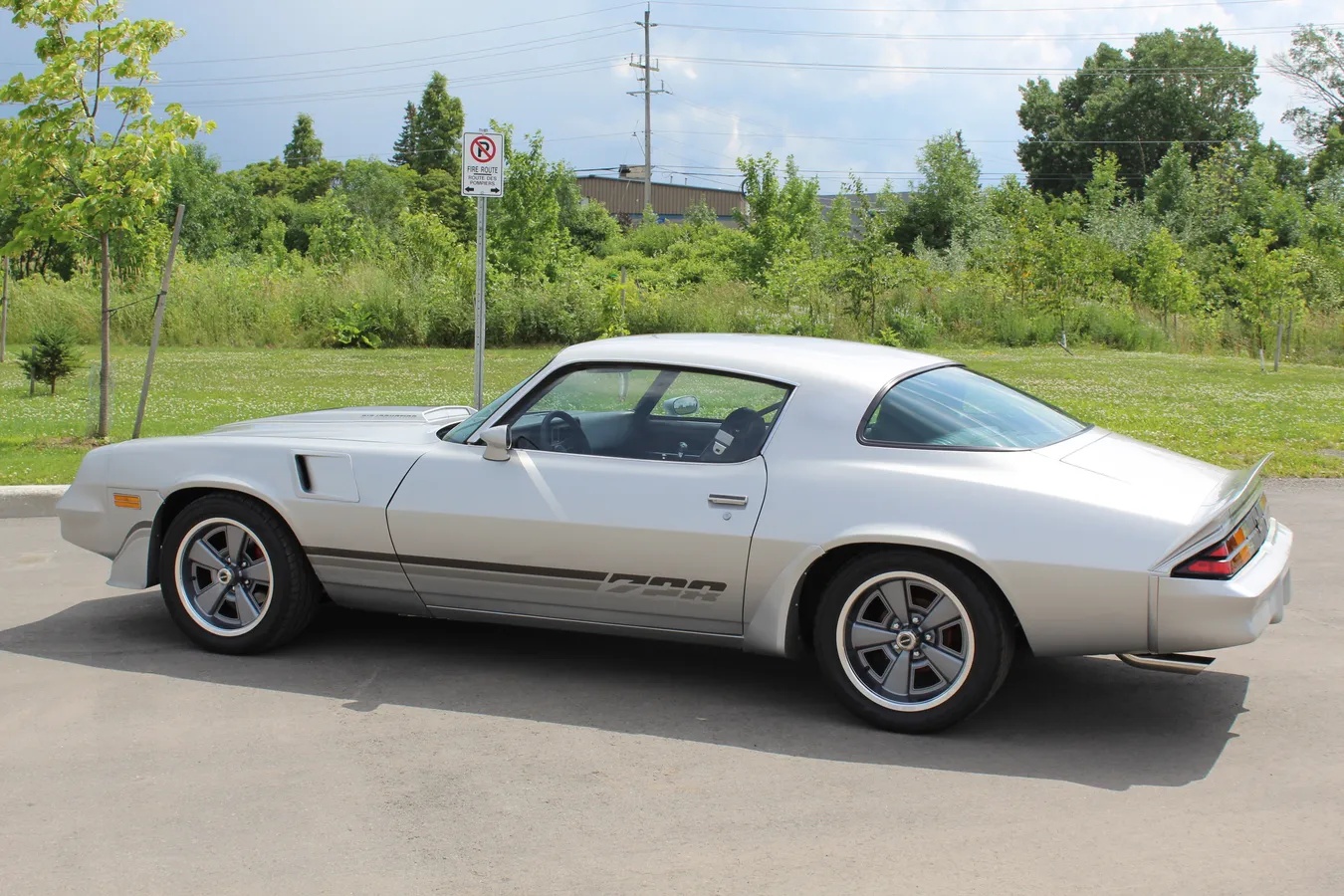 Chevrolet-Camaro-1981-Silver-Black-3