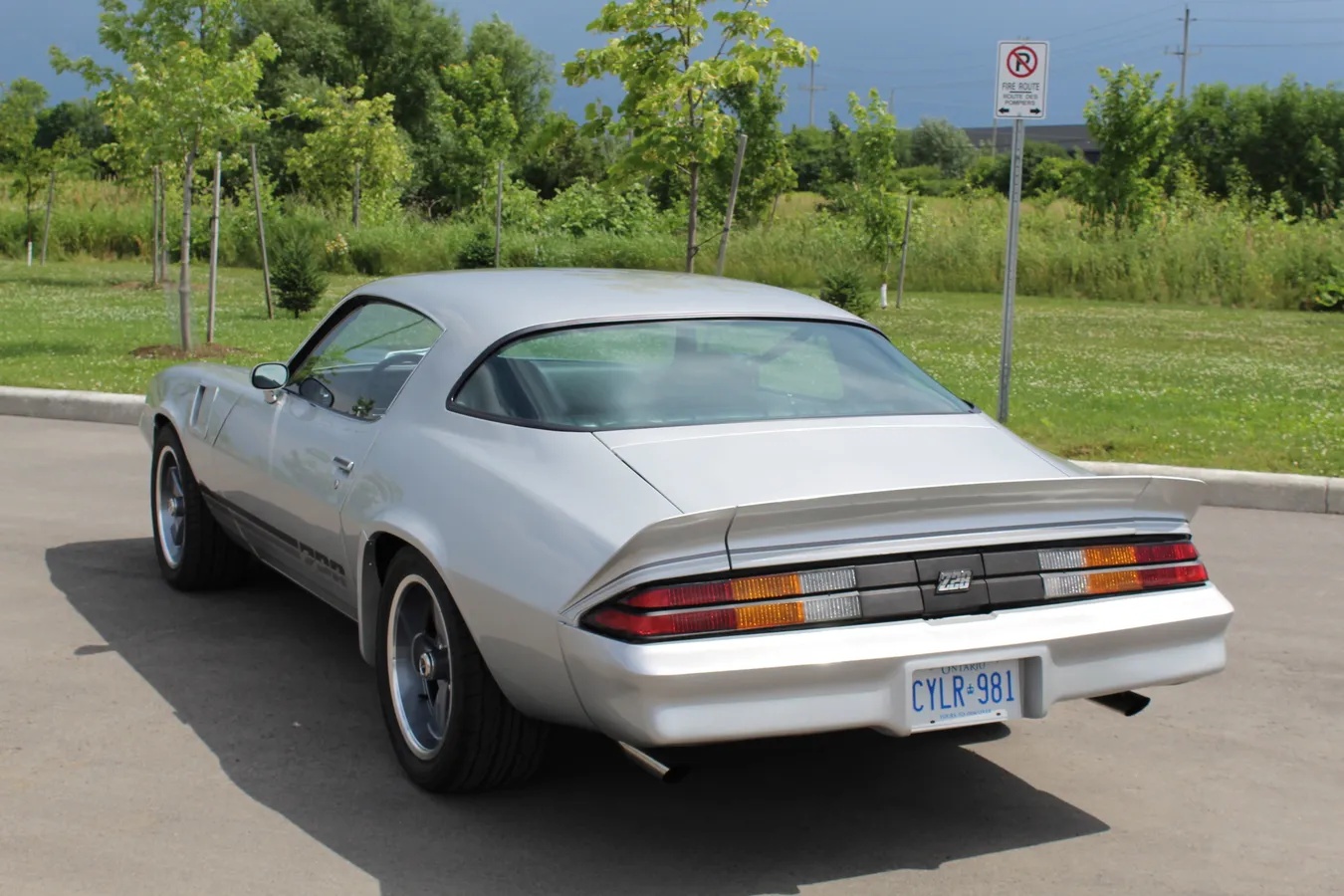 Chevrolet-Camaro-1981-Silver-Black-4