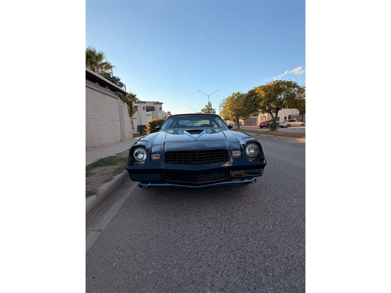 Chevrolet-Camaro-z28-1979-Metallic-Blue-Black-10