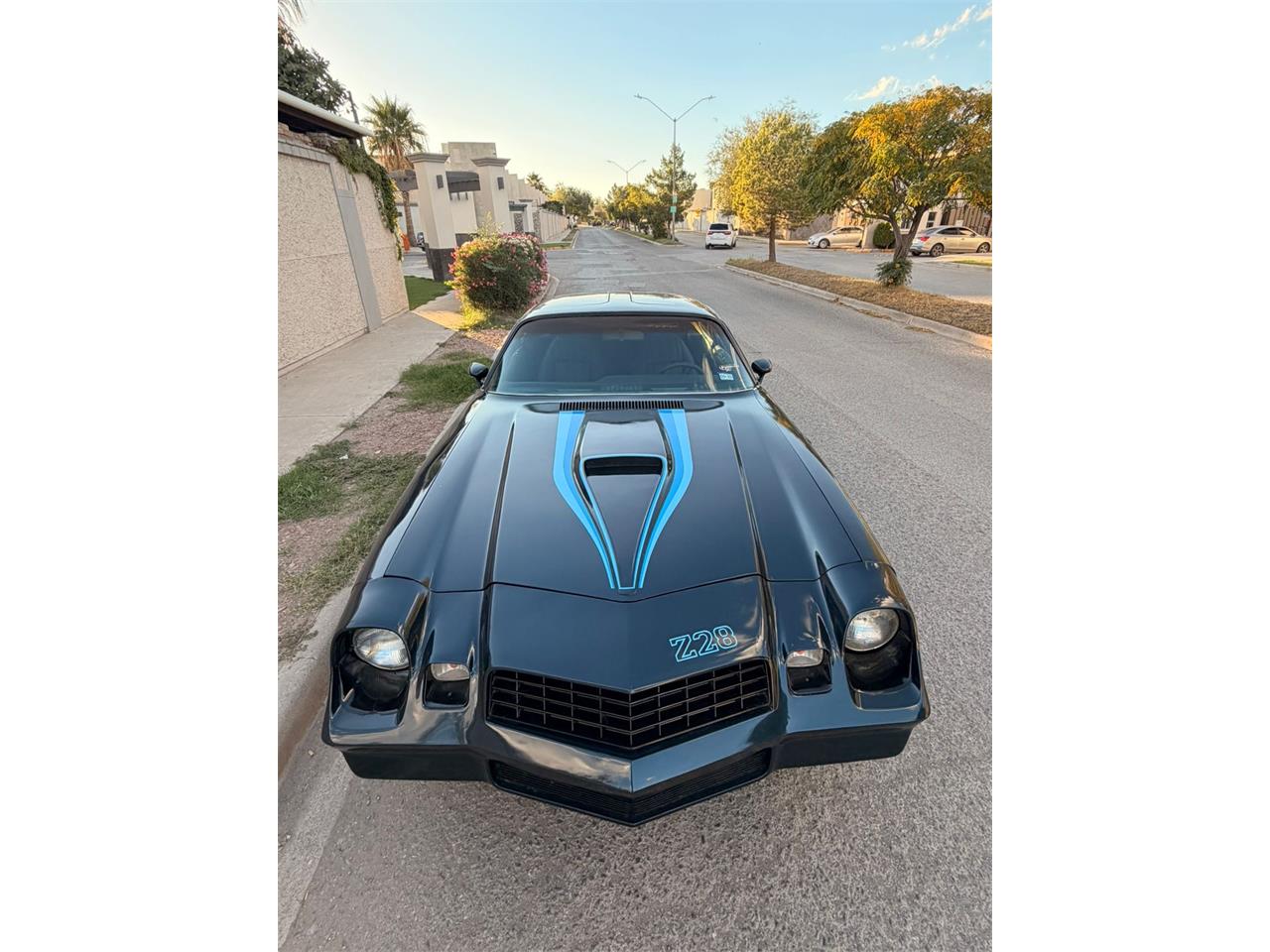 Chevrolet-Camaro-z28-1979-Metallic-Blue-Black-11