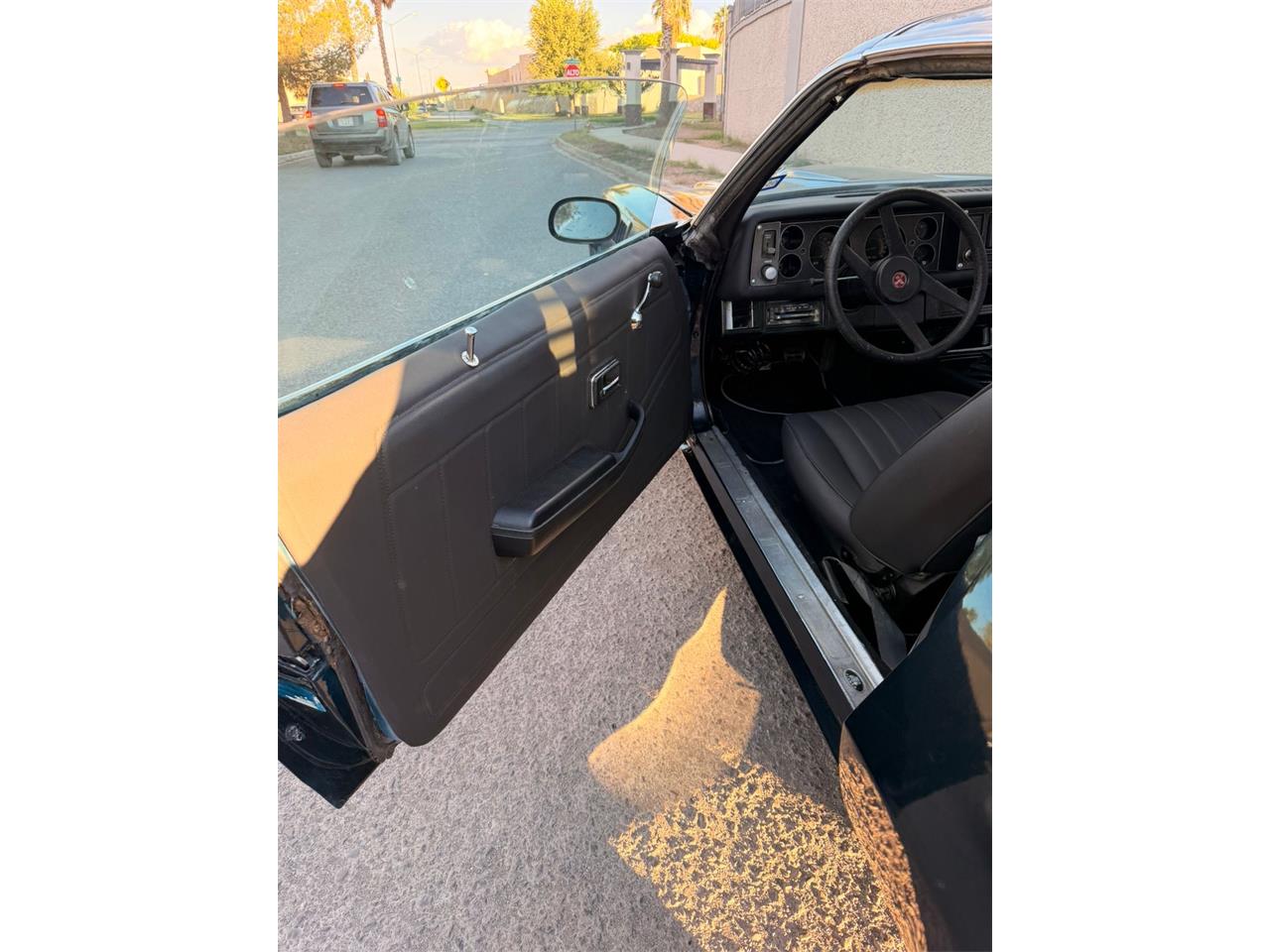 Chevrolet-Camaro-z28-1979-Metallic-Blue-Black-48