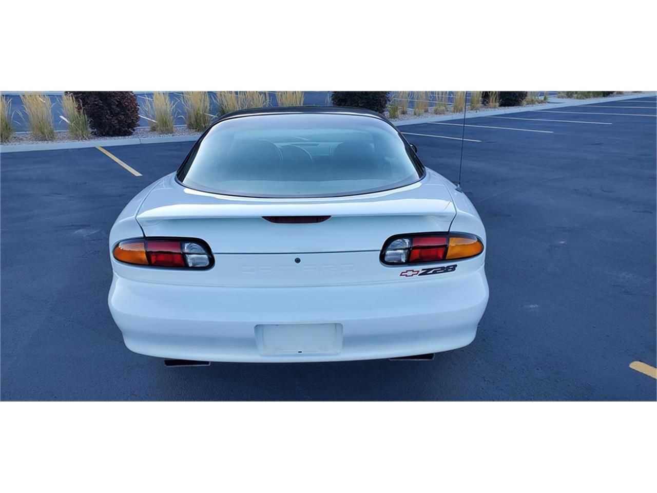 Chevrolet-Camaro-z28-1994-Arctic-white-Medium-graycharcoal-3