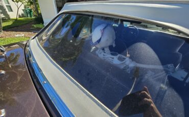 Chevrolet-Cavalier-1984-Convertible-14
