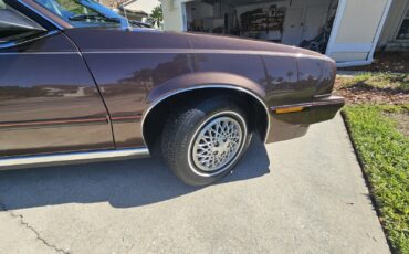 Chevrolet-Cavalier-1984-Convertible-21