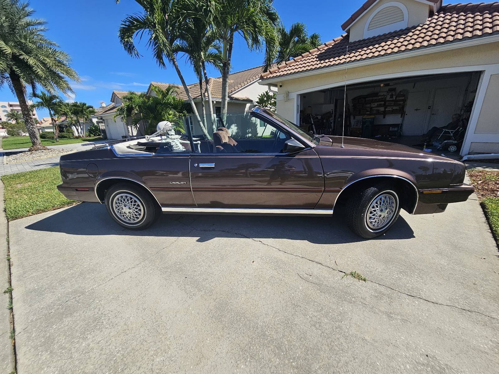 Chevrolet-Cavalier-1984-Convertible-22