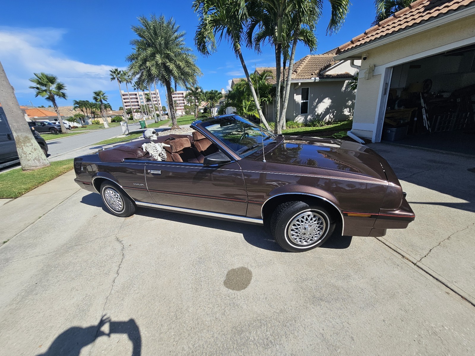 Chevrolet-Cavalier-1984-Convertible-29