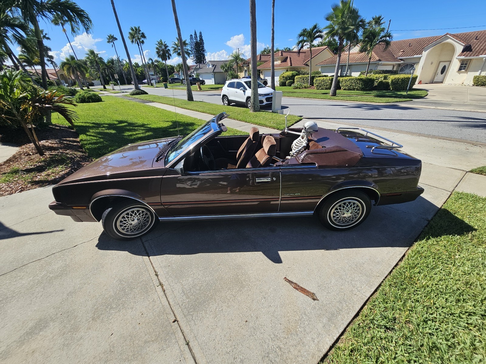 Chevrolet-Cavalier-1984-Convertible-6
