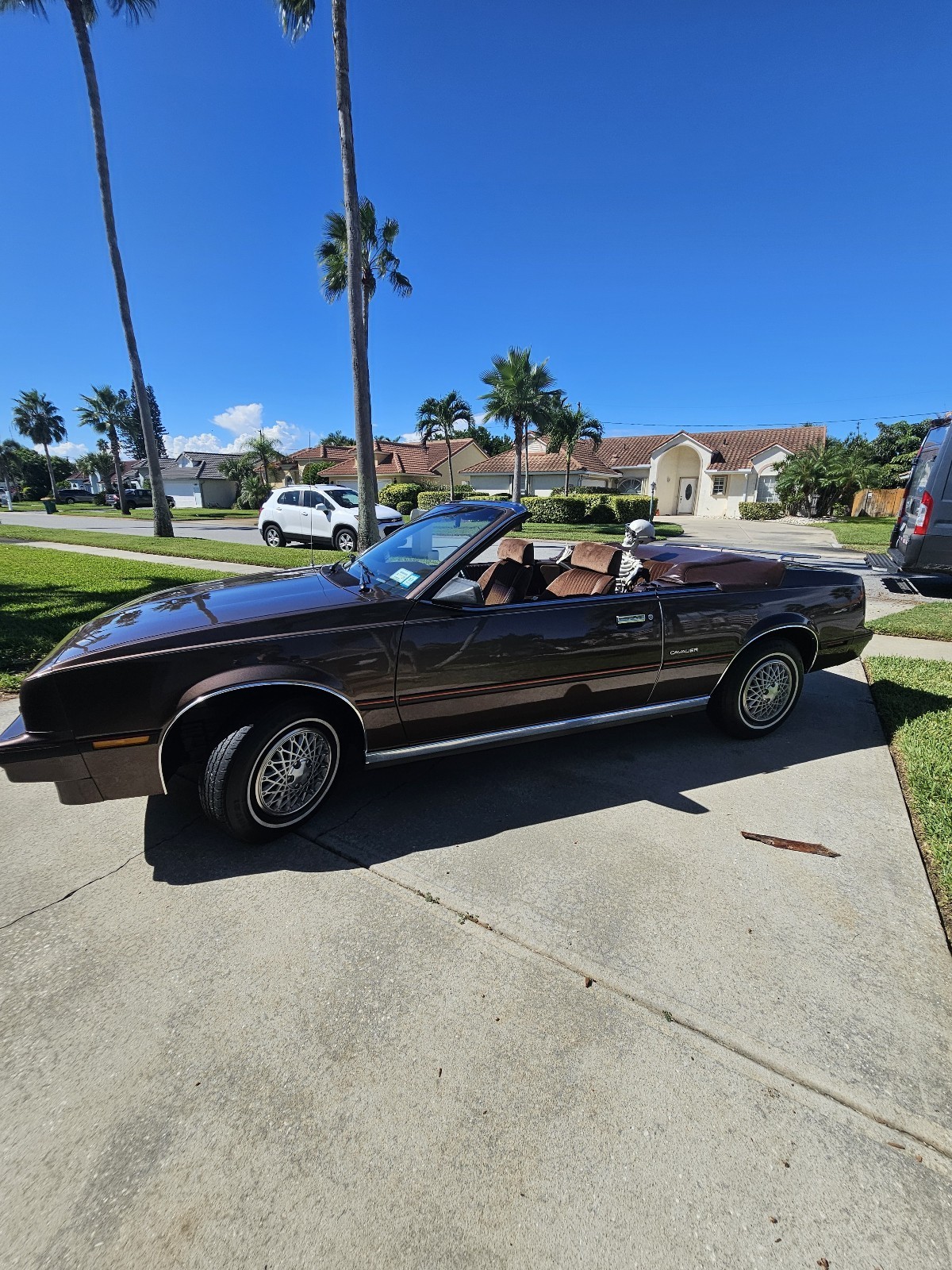 Chevrolet-Cavalier-1984-Convertible-7