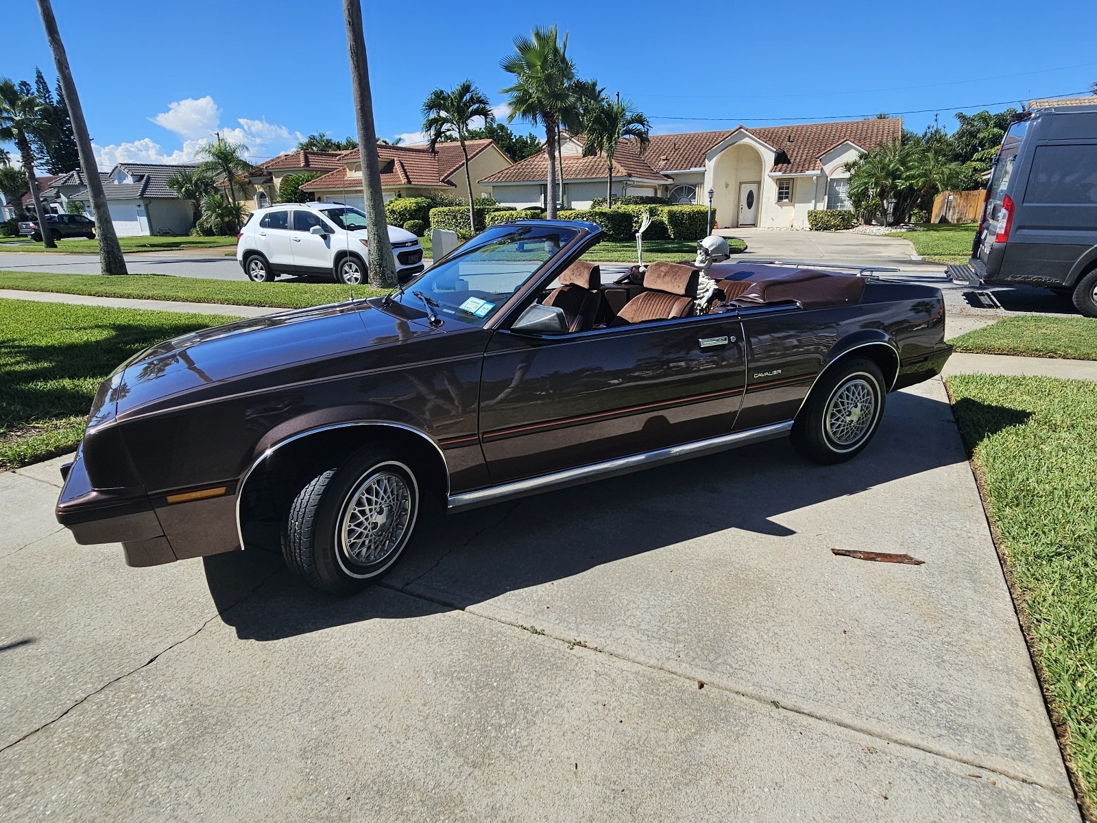 Chevrolet-Cavalier-1984-Convertible-8