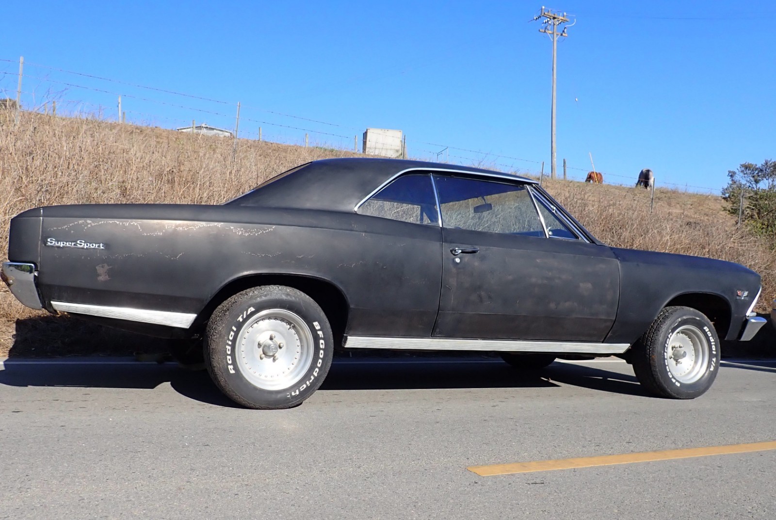 Chevrolet-Chevelle-1966-Coupe-4