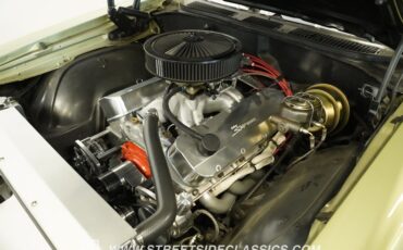 Chevrolet-Chevelle-1969-Green-32