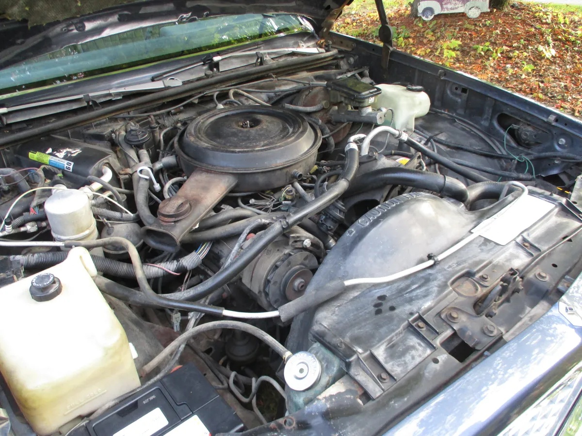 Chevrolet-Chevelle-1984-6