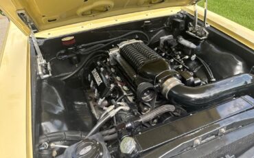 Chevrolet-Chevelle-patriot-built-6.0-LS-stroker-wWhipple-su-1966-7