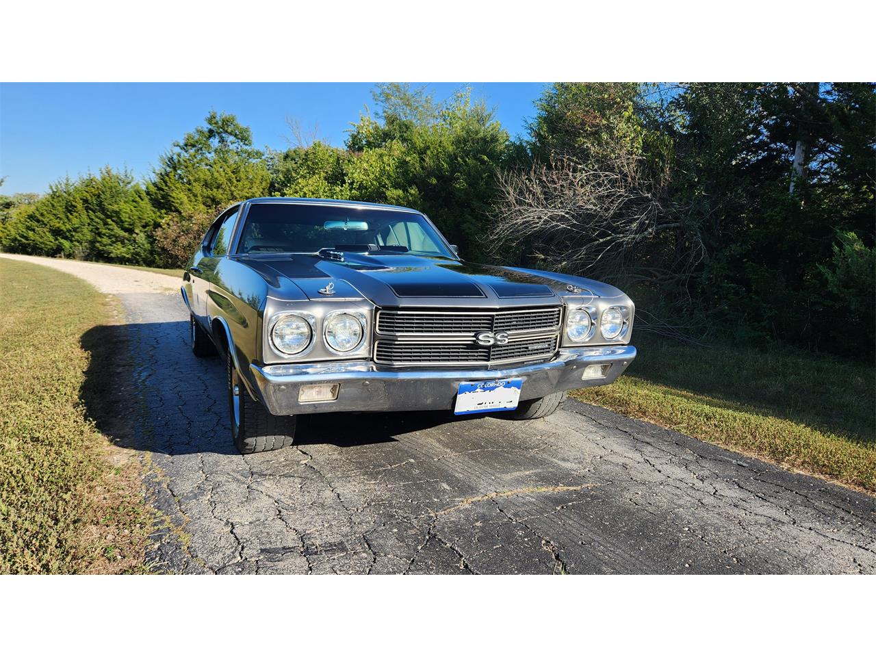 Chevrolet-Chevelle-ss-1970-Silver-Black-Pearl-White-Black-14