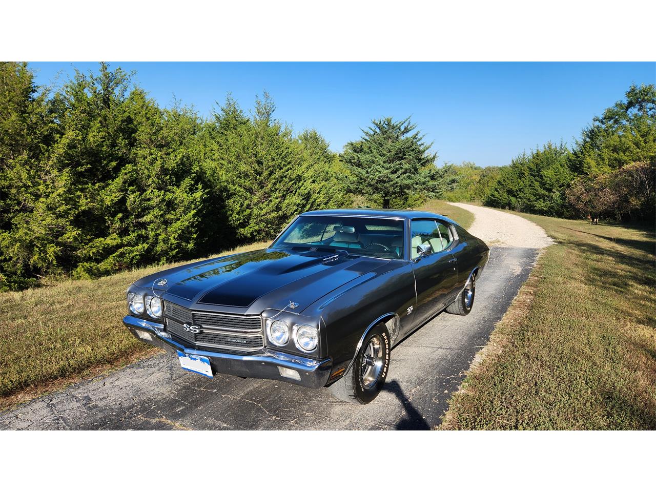 Chevrolet-Chevelle-ss-1970-Silver-Black-Pearl-White-Black-2