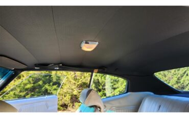 Chevrolet-Chevelle-ss-1970-Silver-Black-Pearl-White-Black-32