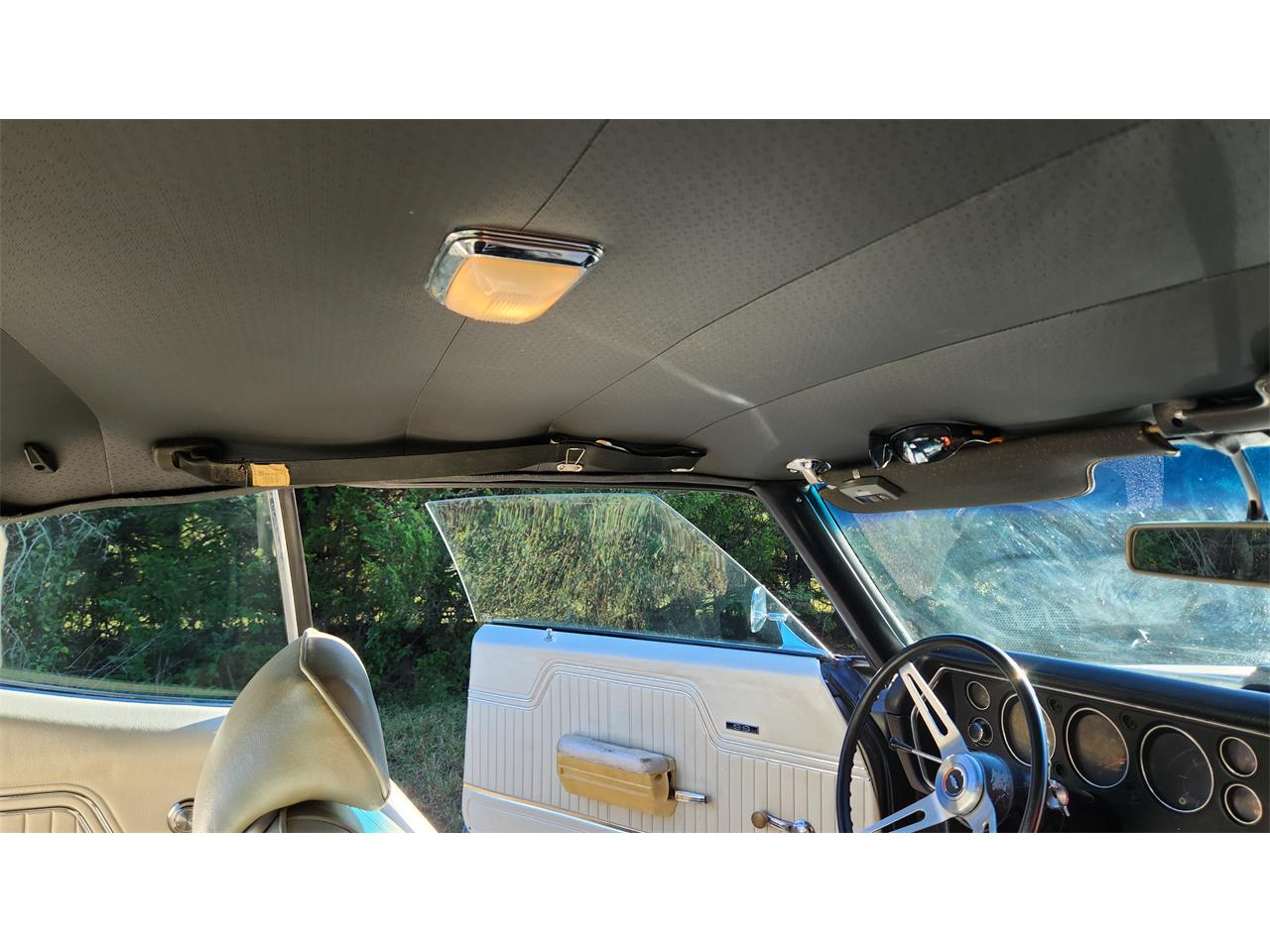 Chevrolet-Chevelle-ss-1970-Silver-Black-Pearl-White-Black-40