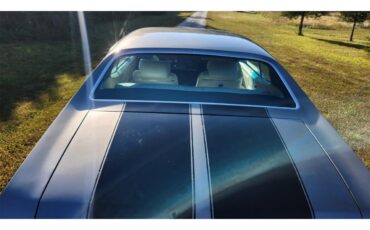 Chevrolet-Chevelle-ss-1970-Silver-Black-Pearl-White-Black-8