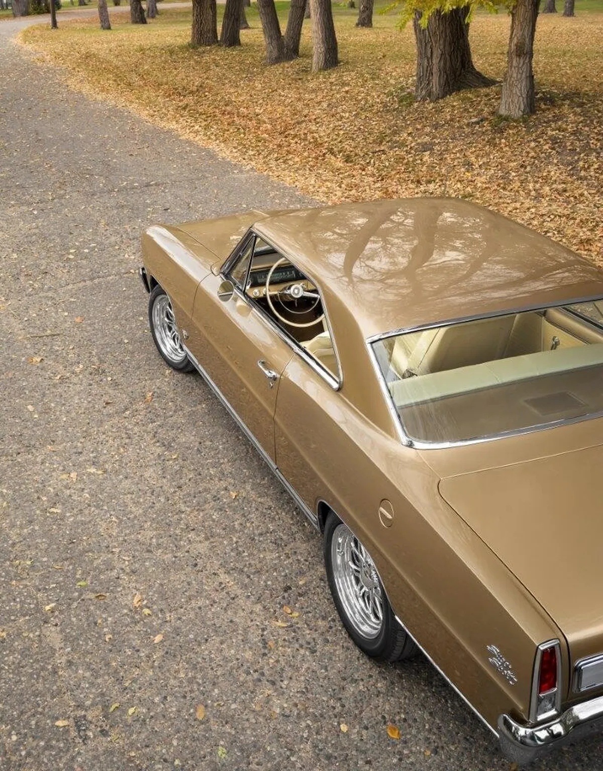 Chevrolet-Chevy-ii-nova-1966-Sandalwood-Tan-Metallic-Beige-19