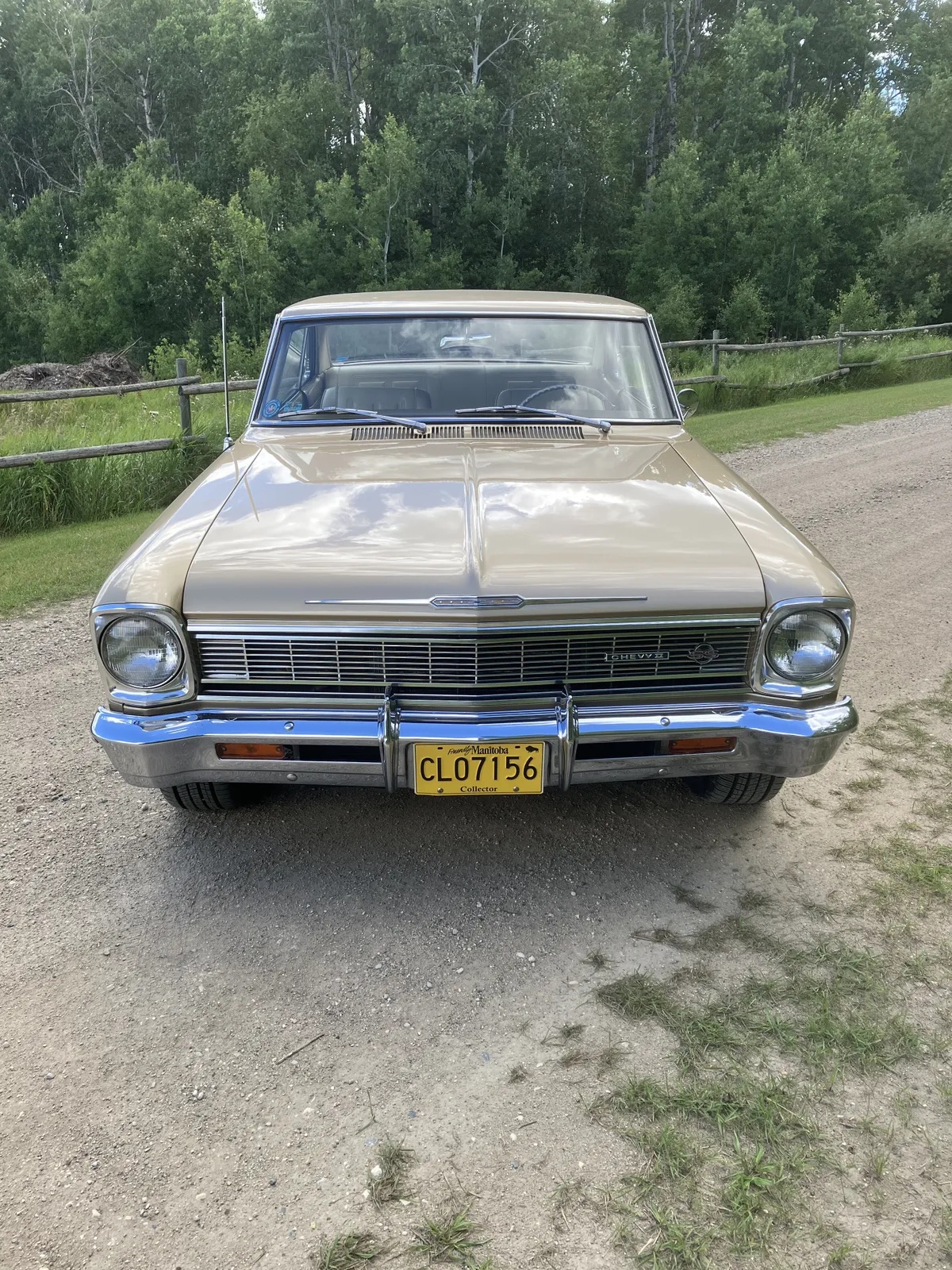 Chevrolet-Chevy-ii-nova-1966-Sandalwood-Tan-Metallic-Beige-2