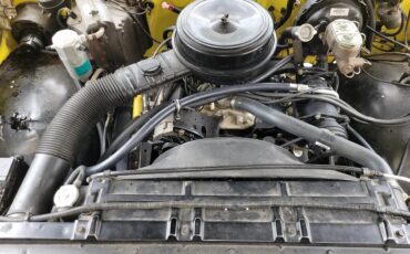 Chevrolet-Cheyenne-1976-Yellow-Brown-10