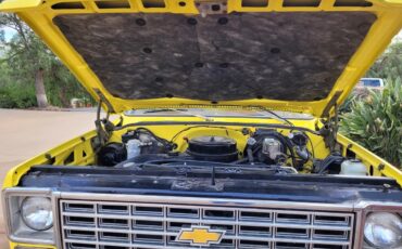 Chevrolet-Cheyenne-1976-Yellow-Brown-15