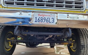 Chevrolet-Cheyenne-1976-Yellow-Brown-16