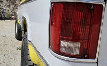 Chevrolet-Cheyenne-1976-Yellow-Brown-3