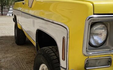 Chevrolet-Cheyenne-1976-Yellow-Brown-4