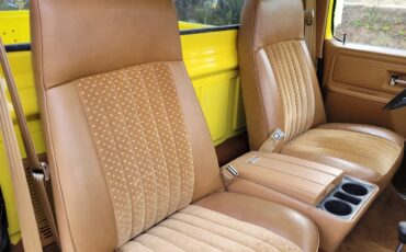 Chevrolet-Cheyenne-1976-Yellow-Brown-8