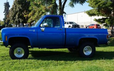 Chevrolet-Ck-1979-Blue-Blue-4