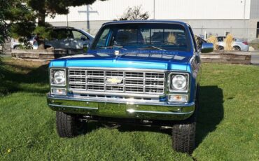 Chevrolet-Ck-1979-Blue-Blue-5