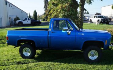 Chevrolet-Ck-1979-Blue-Blue-6