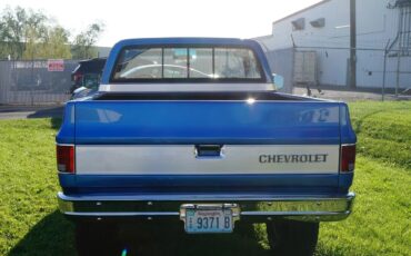 Chevrolet-Ck-1979-Blue-Blue-7