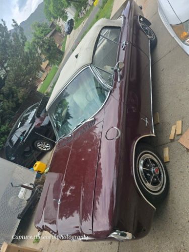 Chevrolet-Corvair-1964-White-2