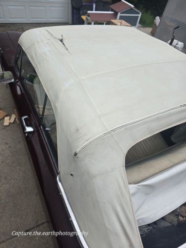 Chevrolet-Corvair-1964-White-6