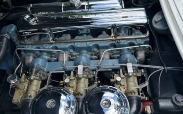 Chevrolet-Corvette-1954-Polo-White-Red-13