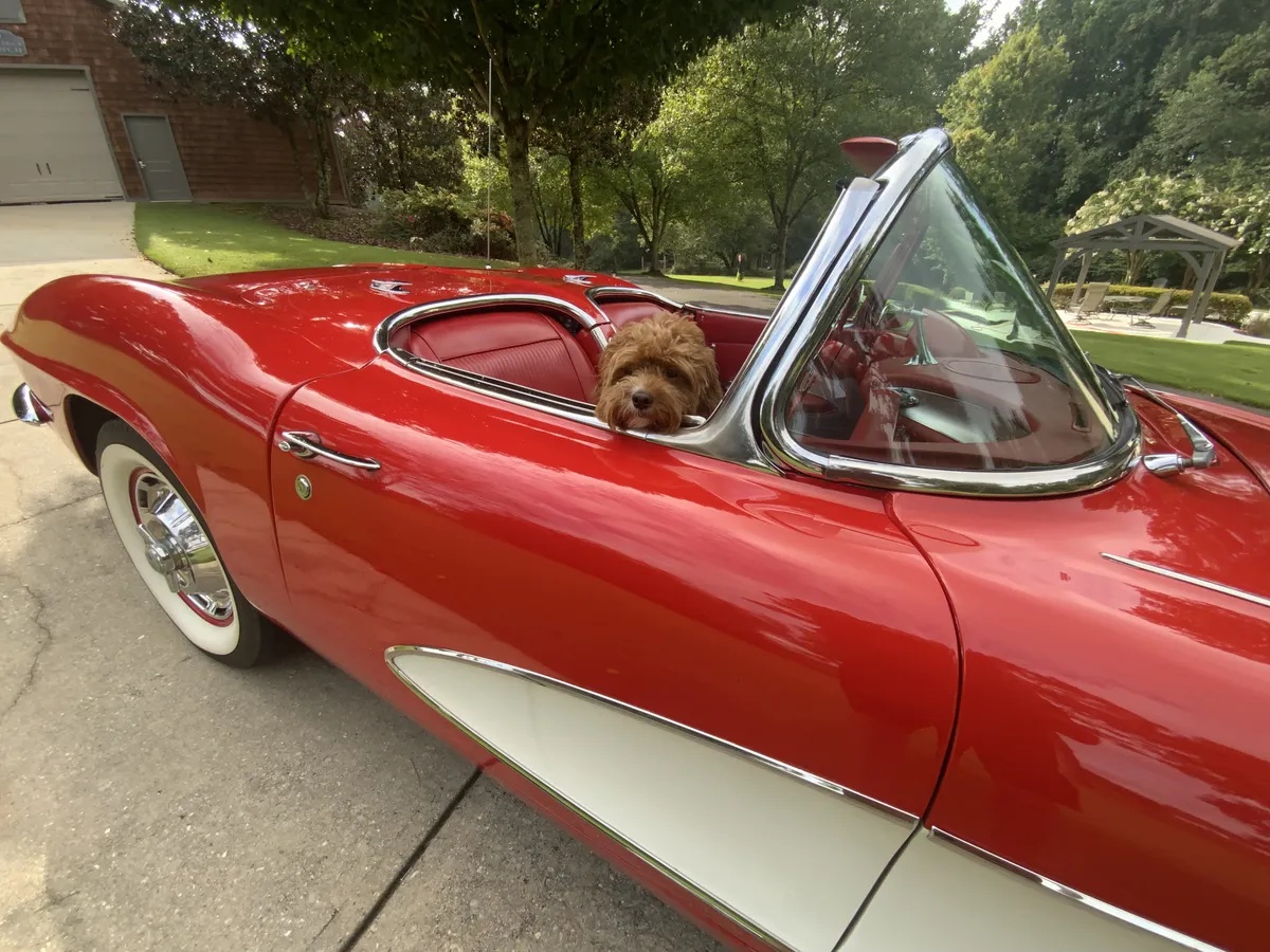 Chevrolet-Corvette-1961-Red-Red-12