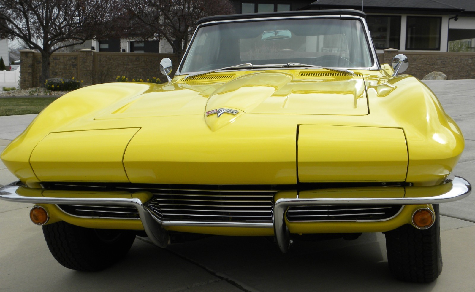 Chevrolet-Corvette-1964-Convertible-8