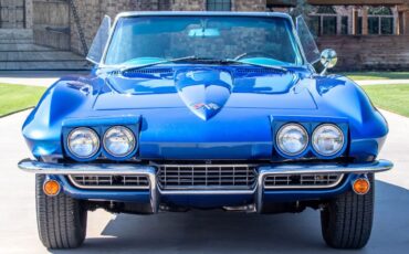 Chevrolet-Corvette-1965-Convertible-5