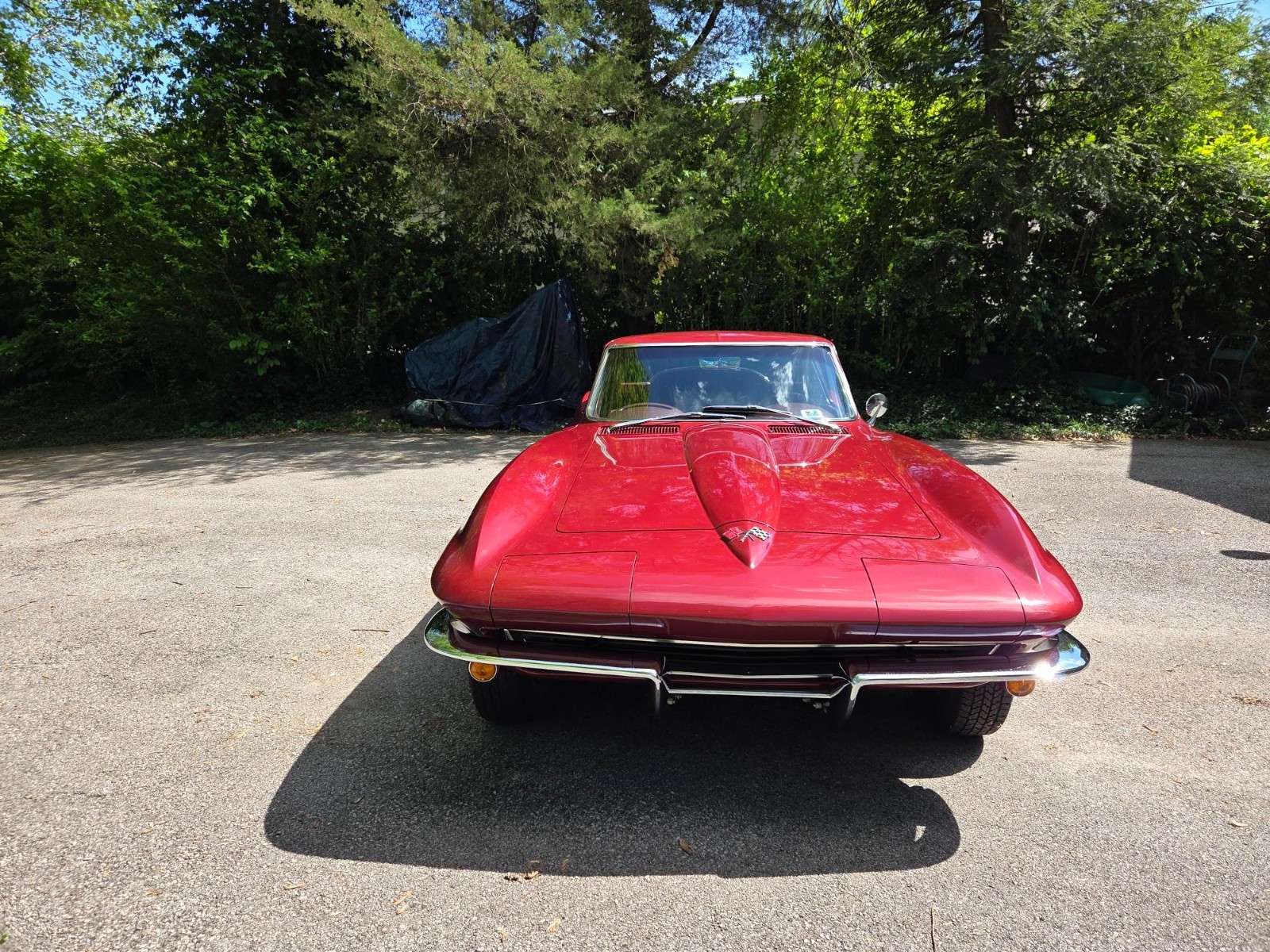 Chevrolet-Corvette-1965-Coupe-25