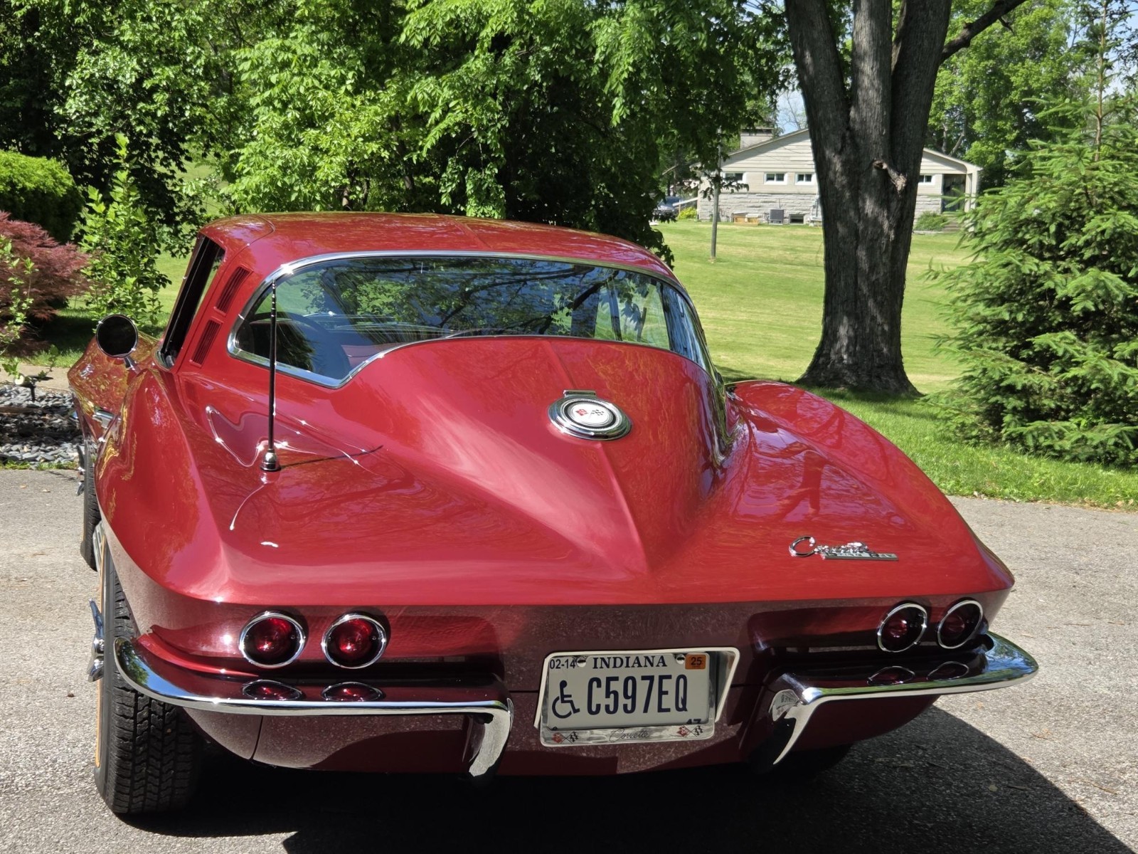 Chevrolet-Corvette-1965-Coupe-3