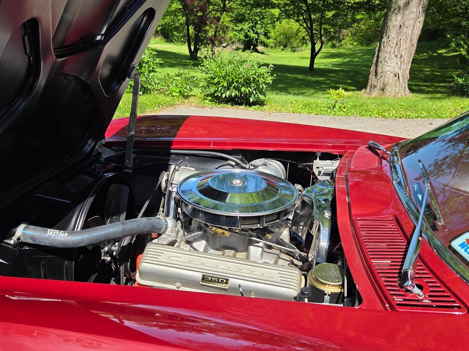 Chevrolet-Corvette-1965-Coupe-8