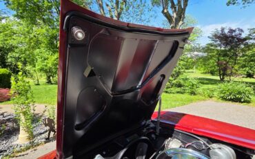 Chevrolet-Corvette-1965-Coupe-9