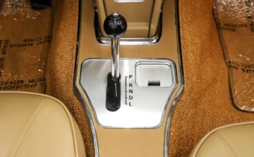 Chevrolet-Corvette-1965-Glen-Green-Tan-6