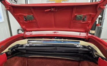 Chevrolet-Corvette-1965-Red-Red-11